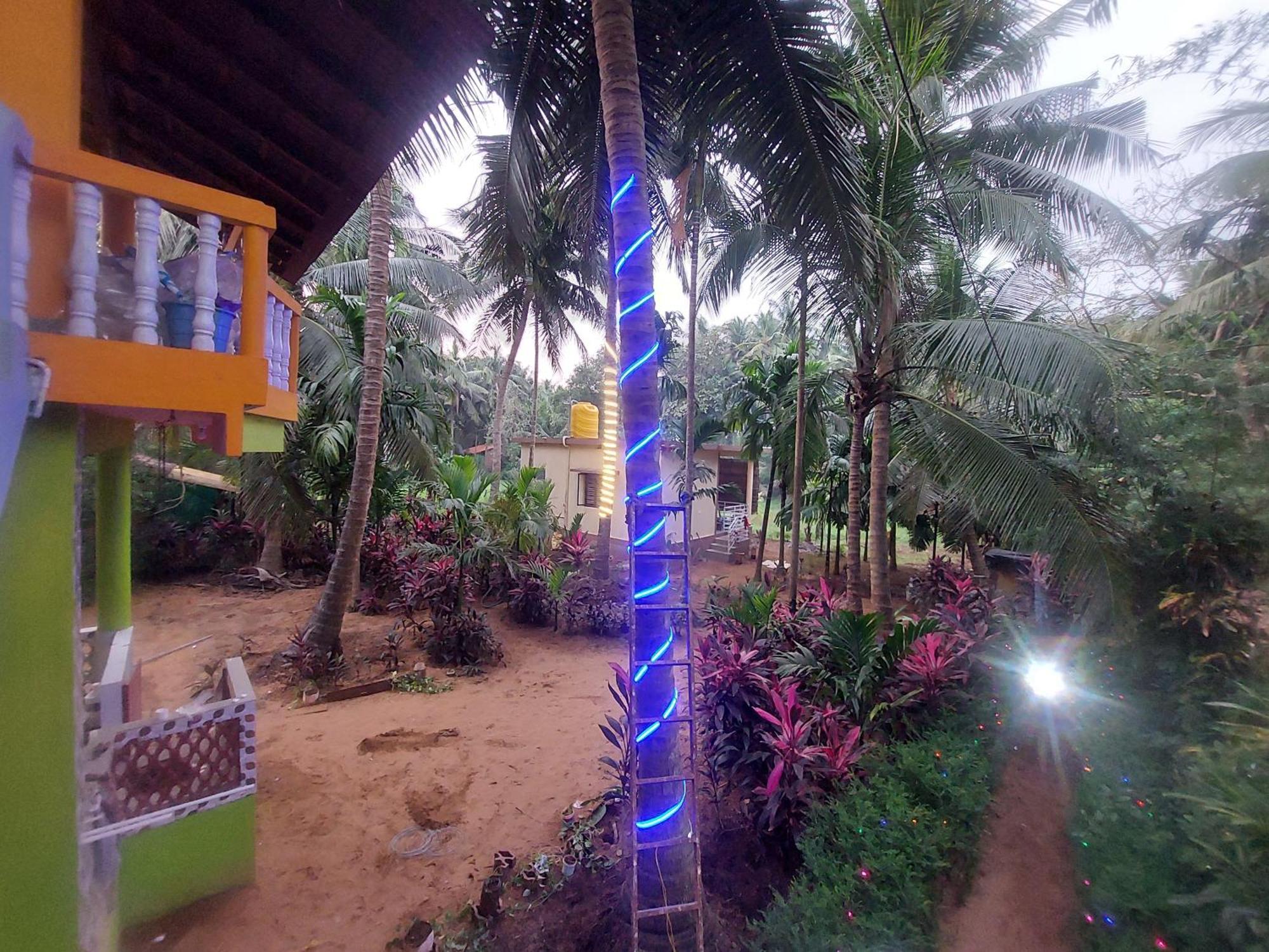 Villa Areca Nest Gokarna  Esterno foto