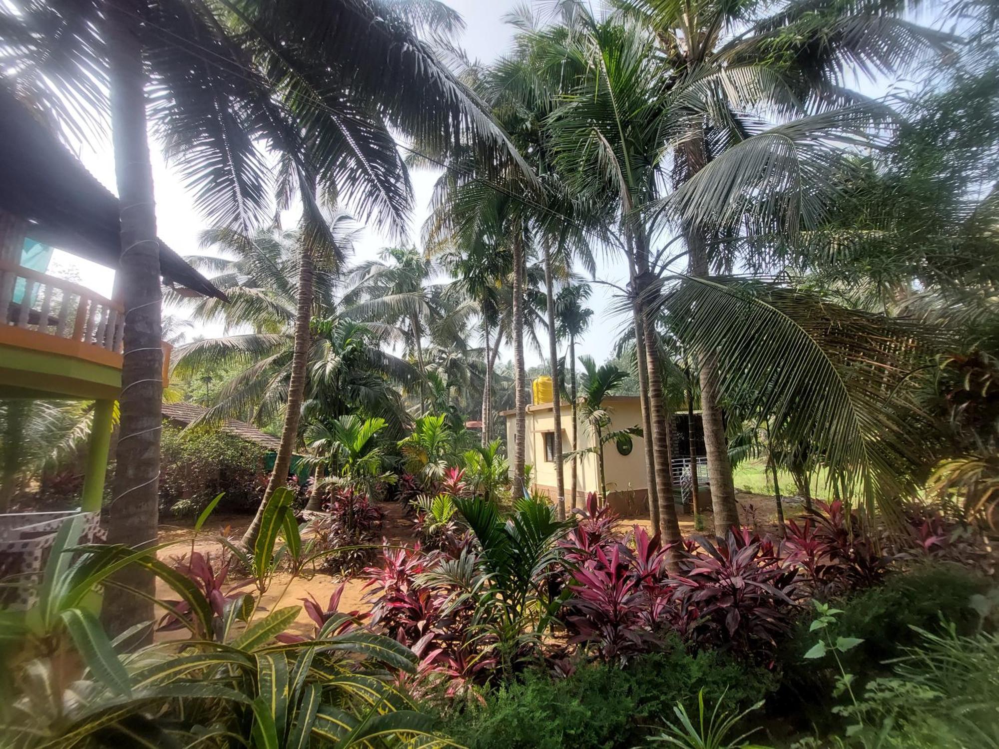 Villa Areca Nest Gokarna  Esterno foto