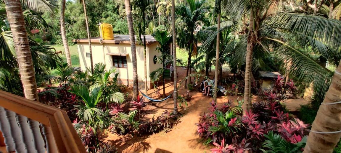 Villa Areca Nest Gokarna  Esterno foto